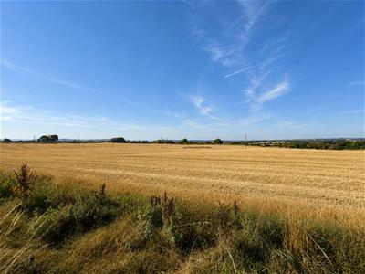 Picture 30